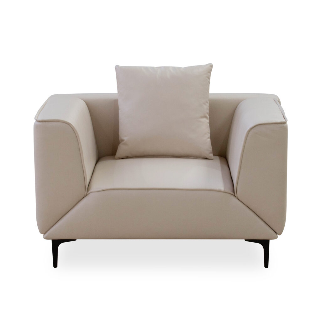 Briella Sleeper Couch