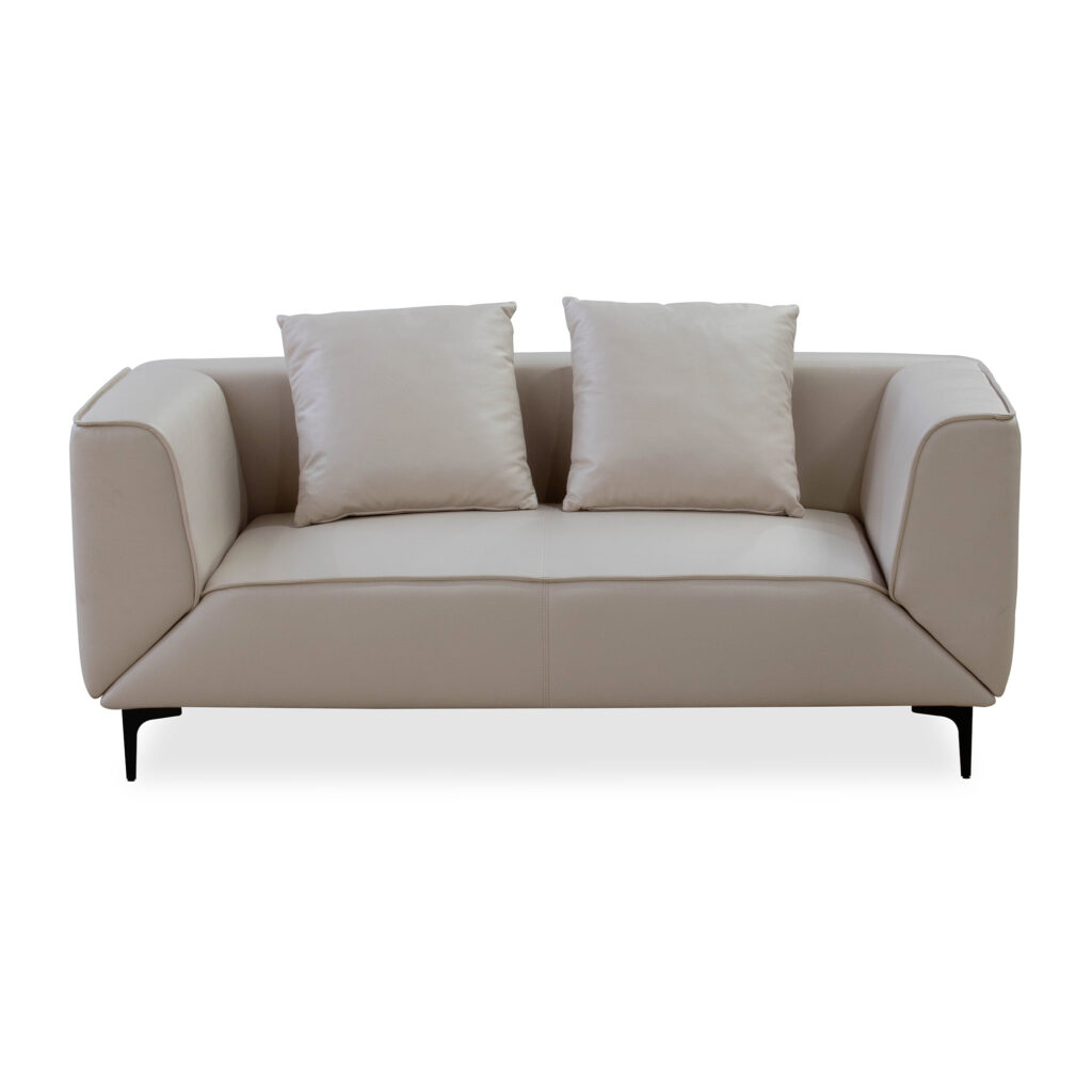Briella 1 Sleeper Couch